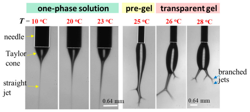 Figure 15