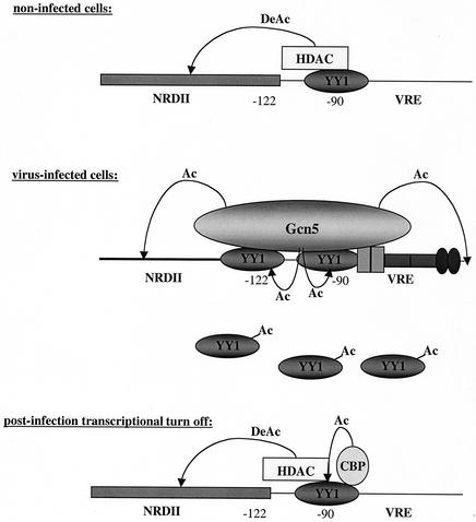 FIG. 9.