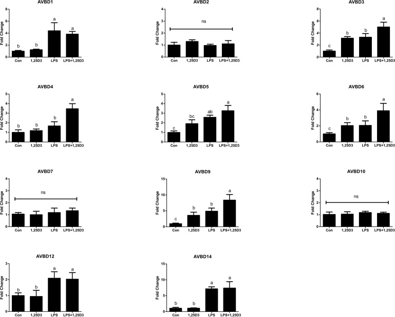 Fig 3