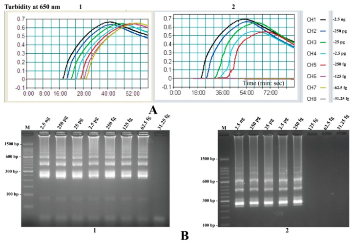 Figure 10