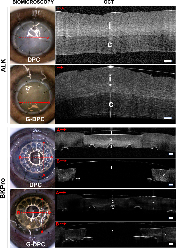 Fig. 8.