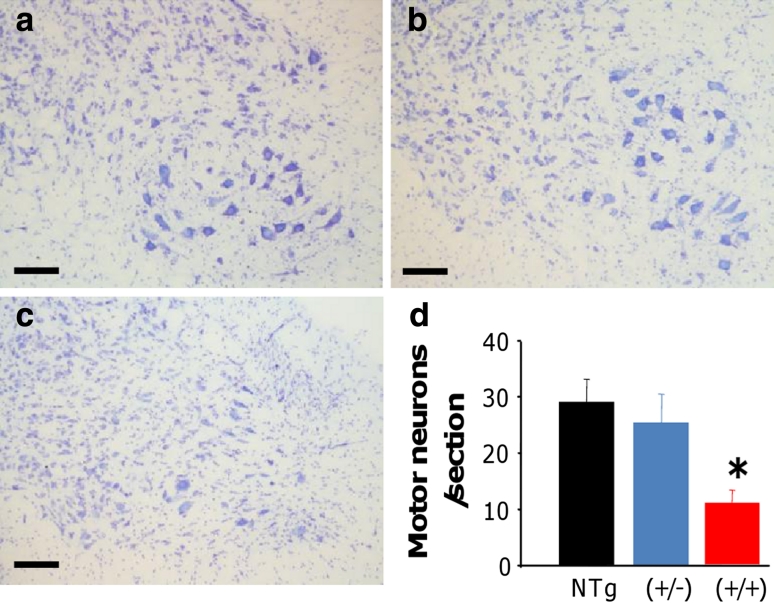 Fig. 7