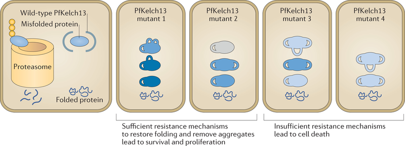 Figure 4 |