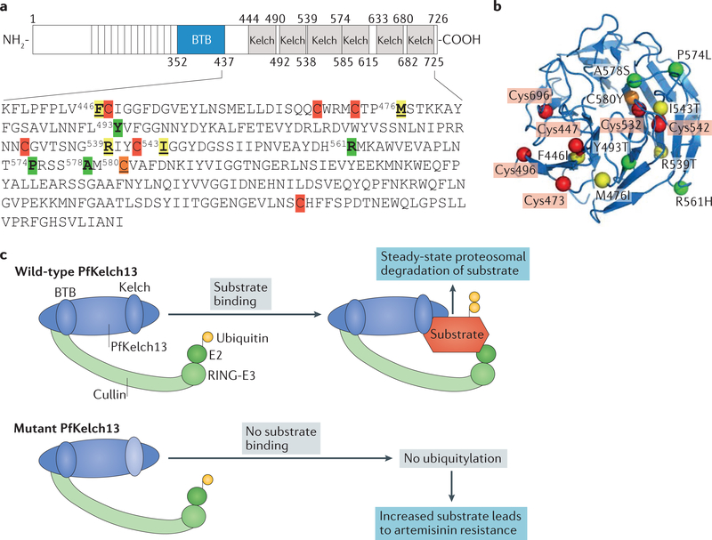 Figure 2 |