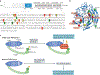 Figure 2 |