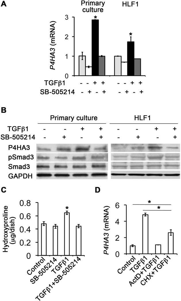 Fig.4