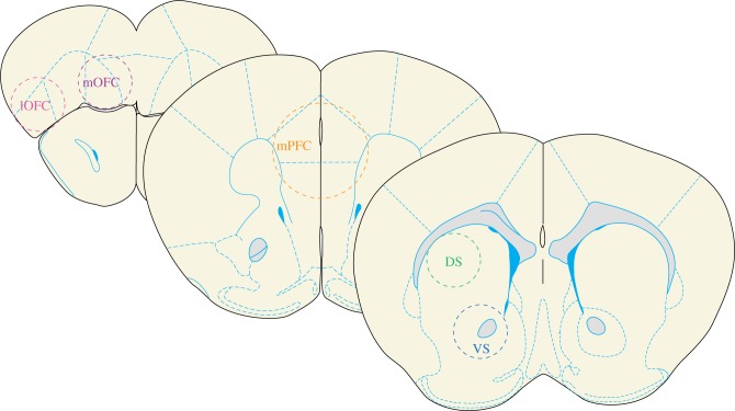 Figure1.