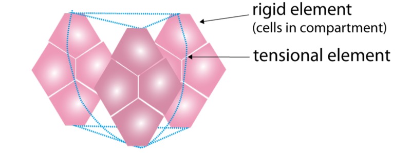 Figure 8