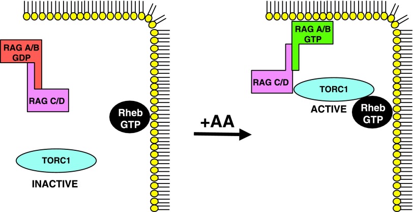 Fig. 2.