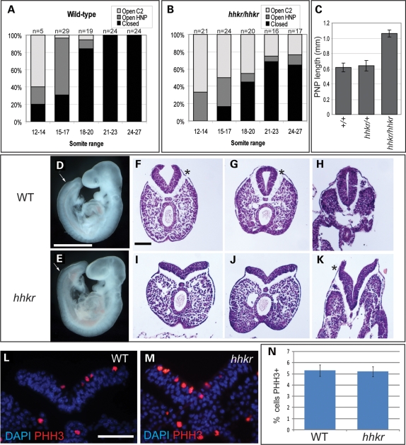 Figure 3.