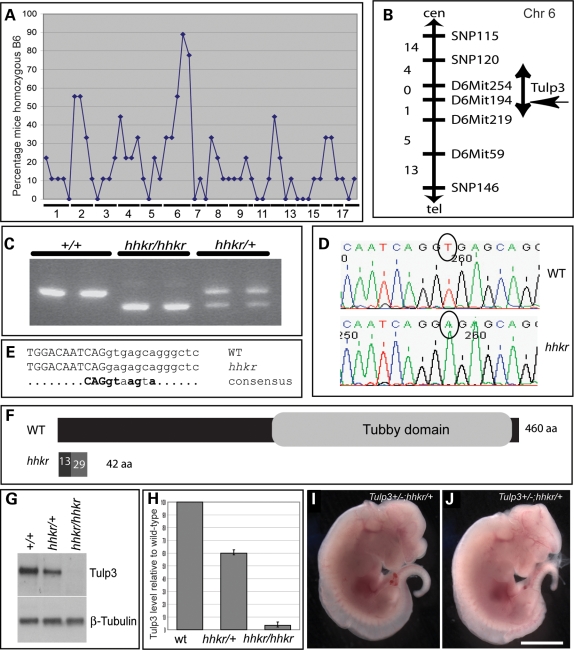 Figure 2.