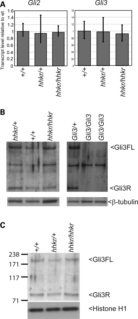 Figure 10.