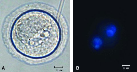 FIG. 8.