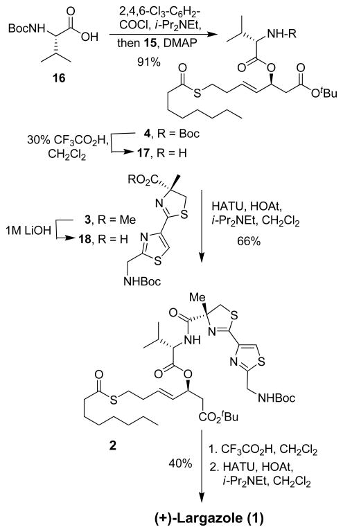 Scheme 3