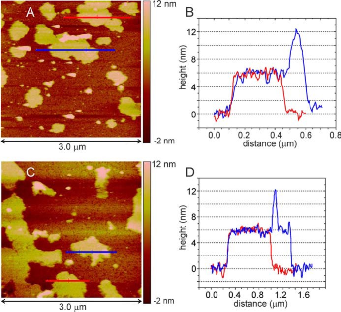 FIGURE 2.