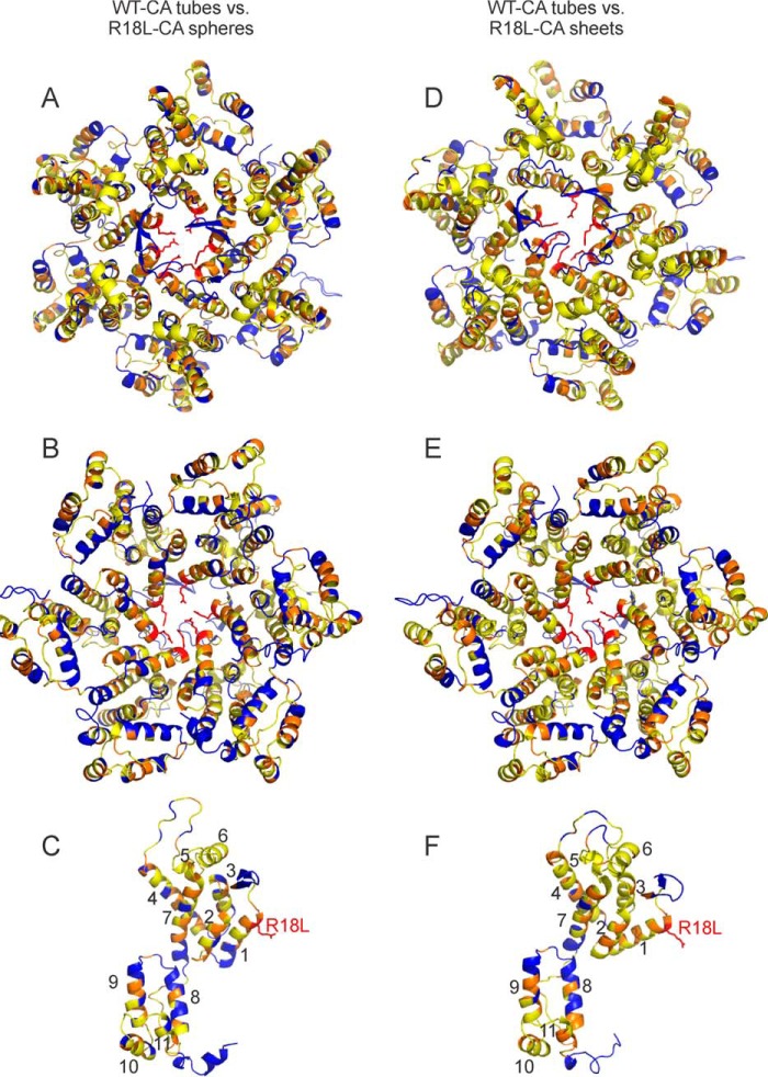 FIGURE 5.