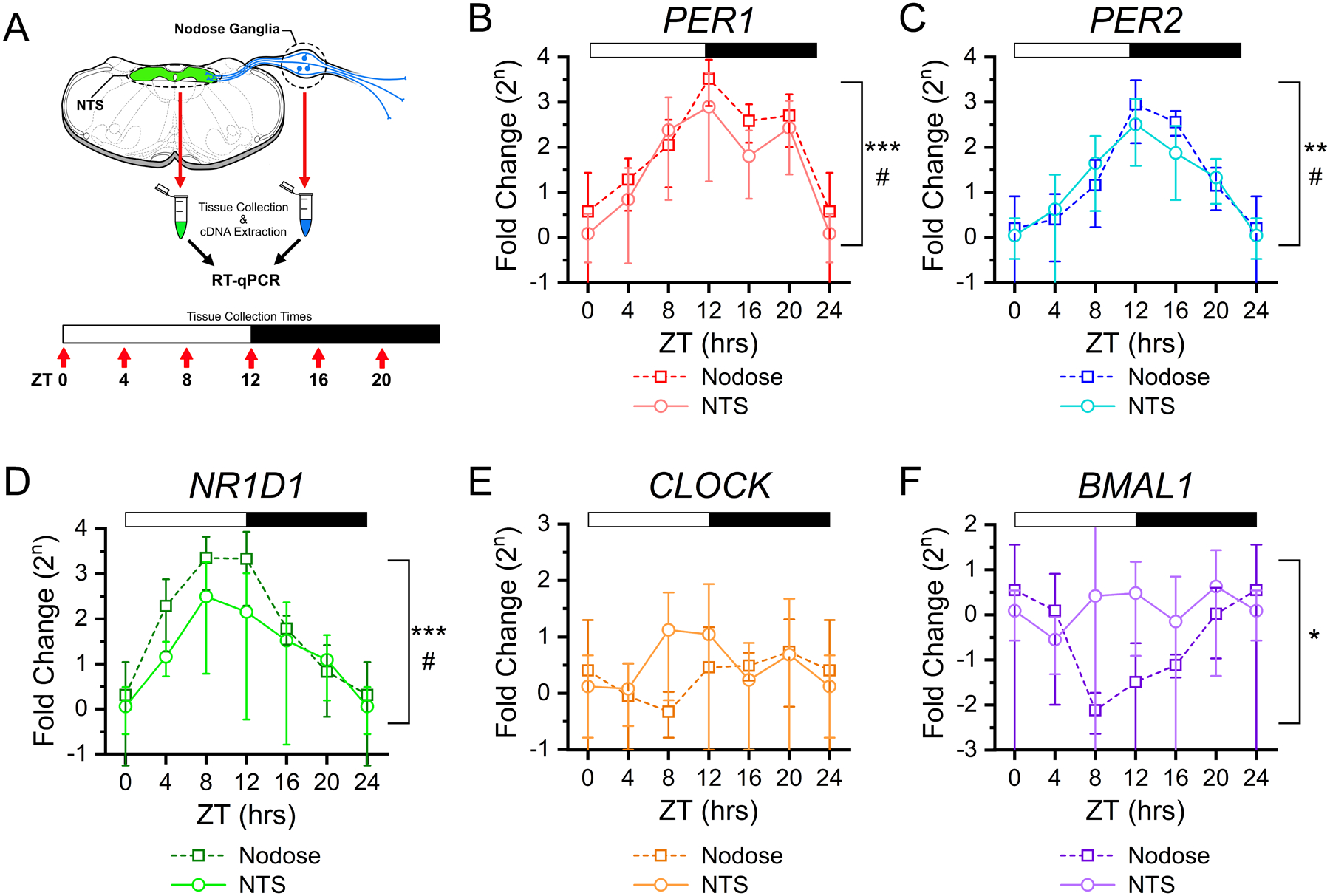 FIGURE 1: