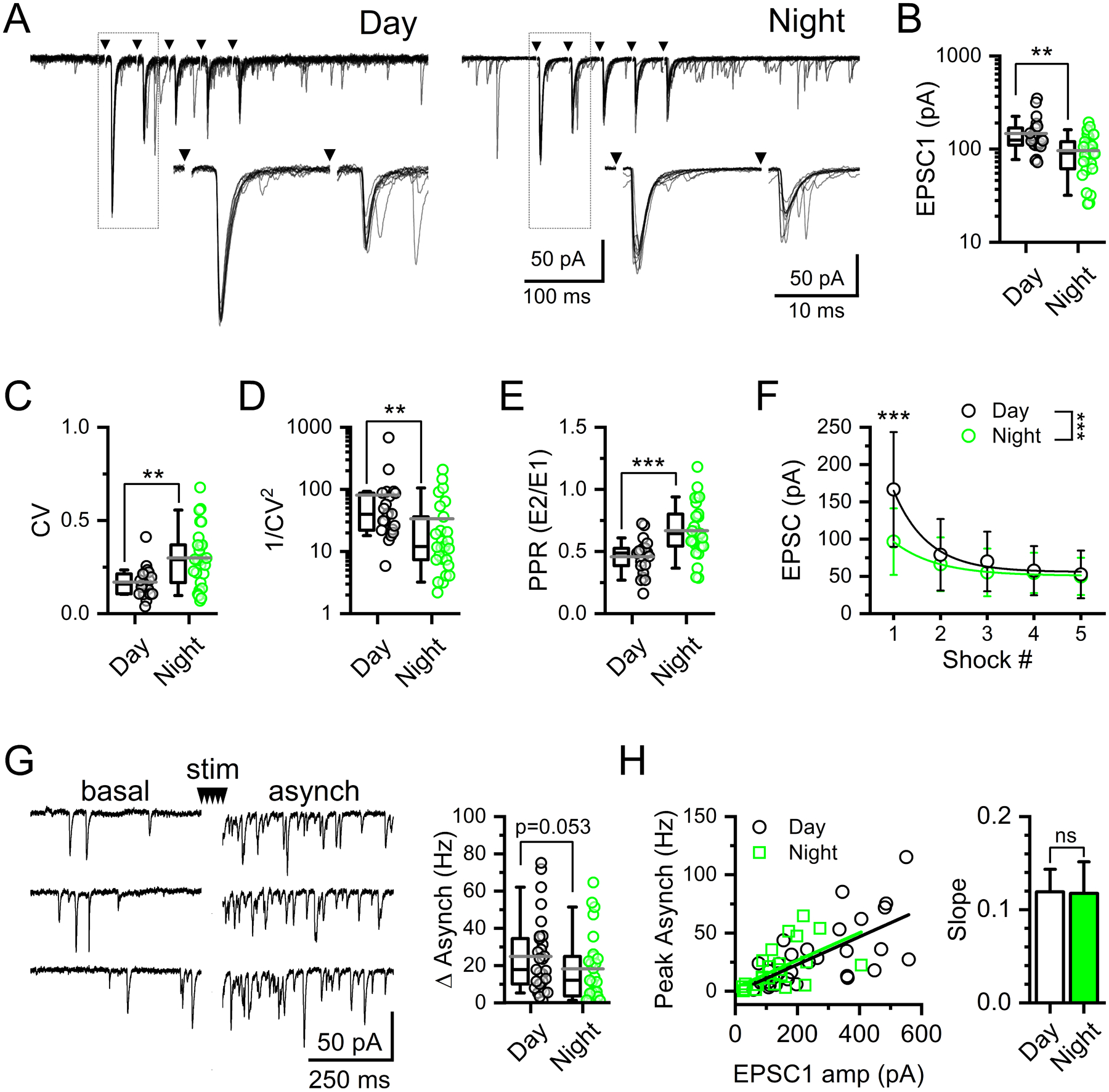 FIGURE 6: