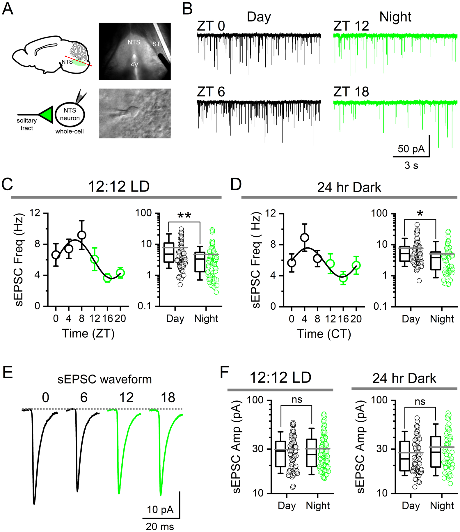 FIGURE 2: