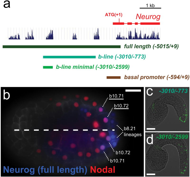 Extended Data Figure 3