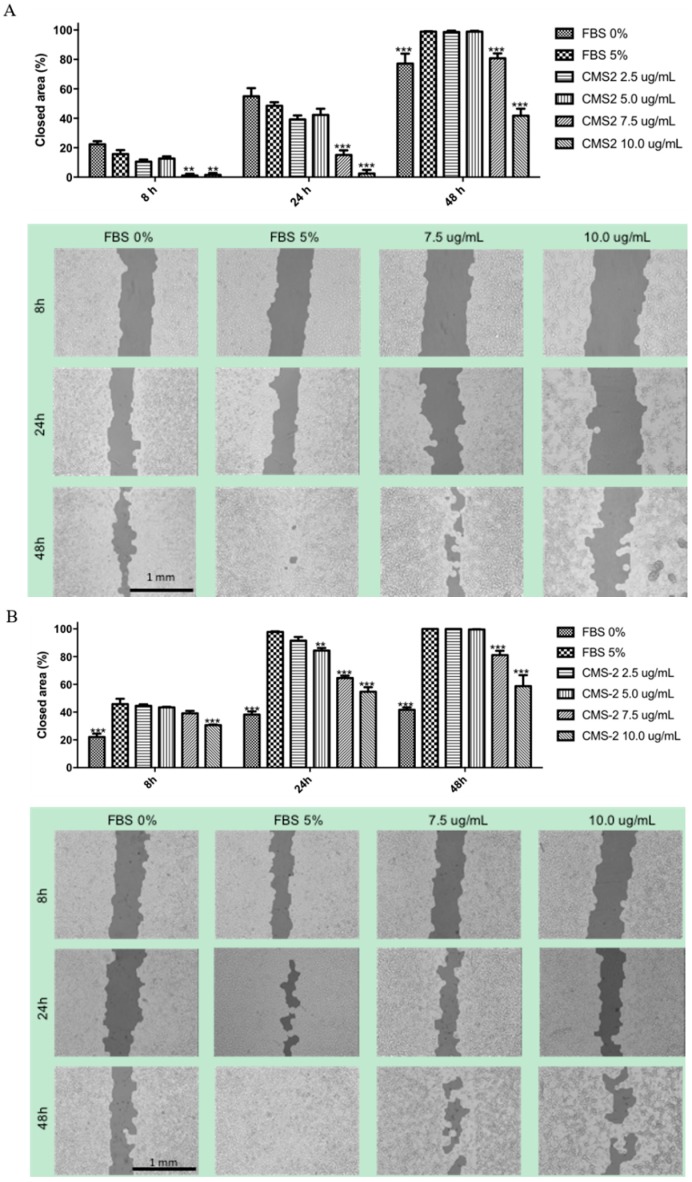 Figure 7