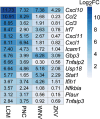 Fig 4