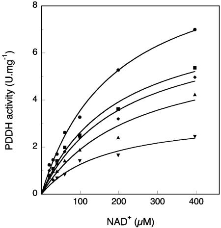 FIG. 5.