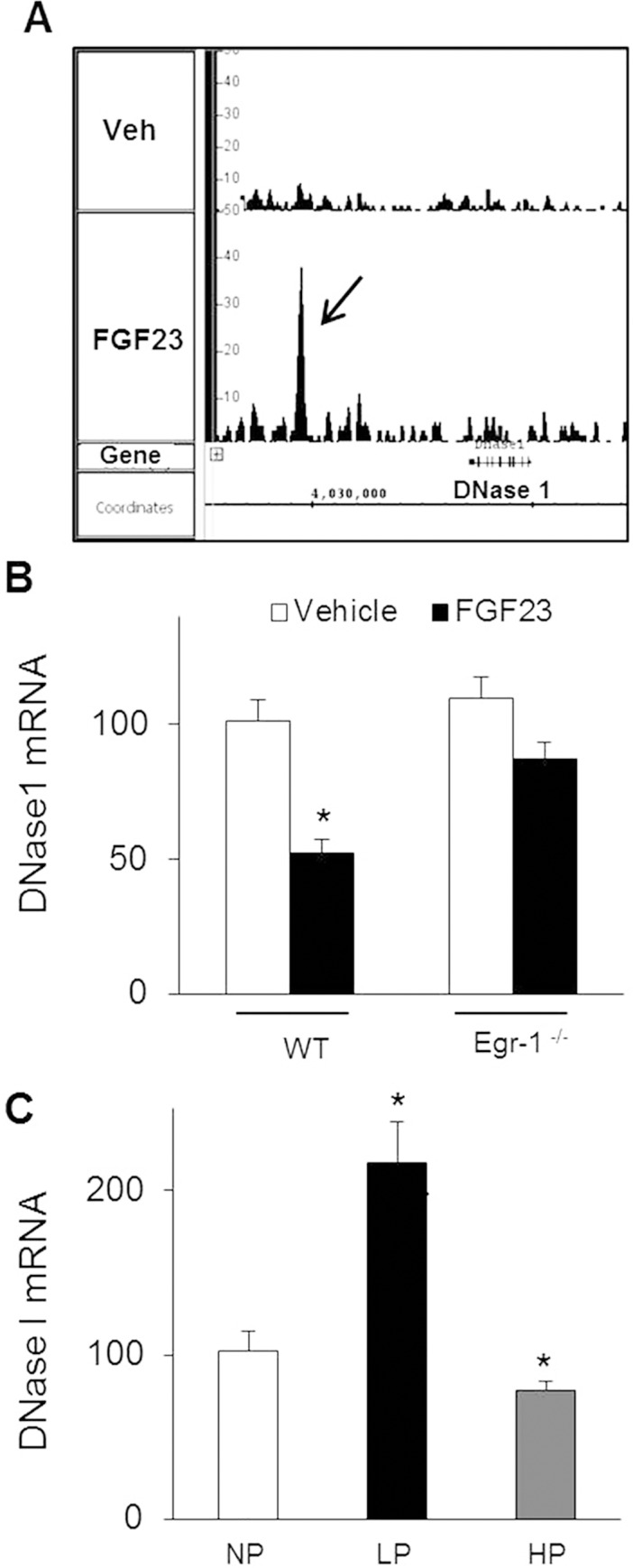 Fig 7