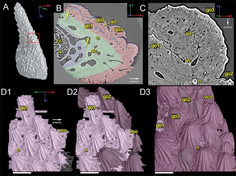 Fig 2