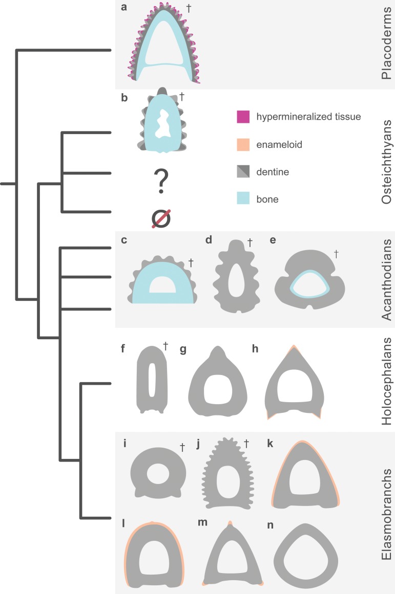 Fig 6