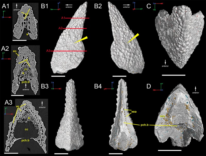 Fig 1