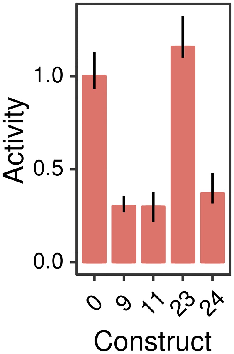 Fig 5