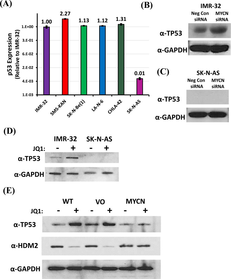 Fig. (5)