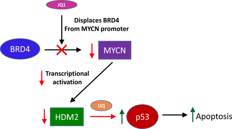 Fig. (7)