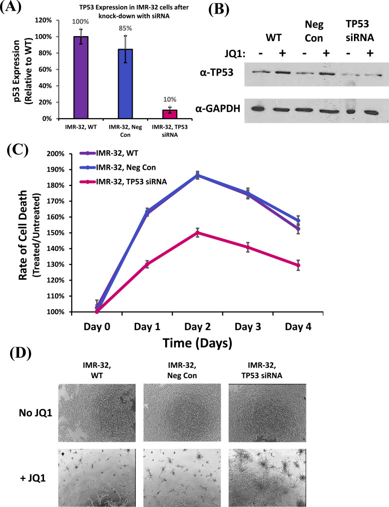 Fig. (6)