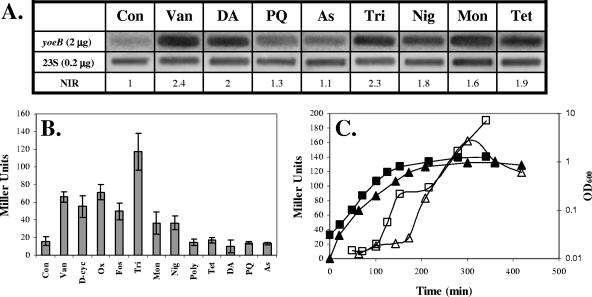 FIG. 5.