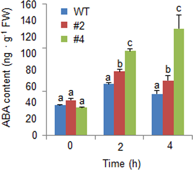 Figure 7