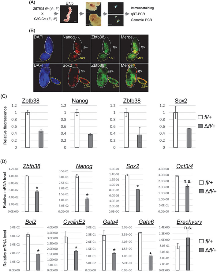 FIGURE 6