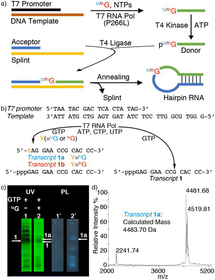 Figure 2.