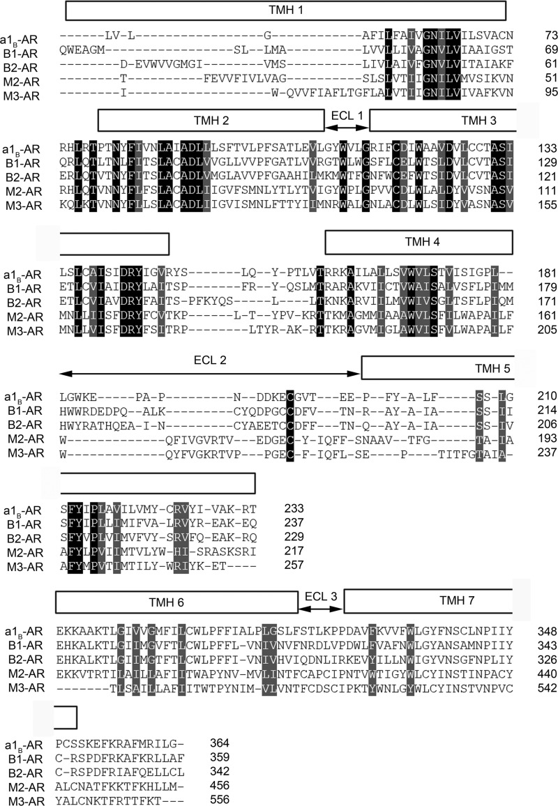 FIGURE 1.