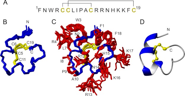 FIGURE 5.