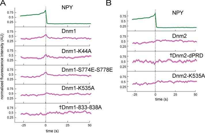 FIGURE 5: