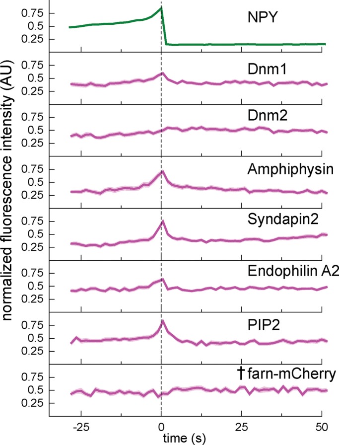 FIGURE 4: