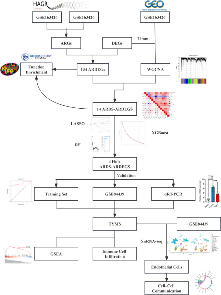 Figure 1