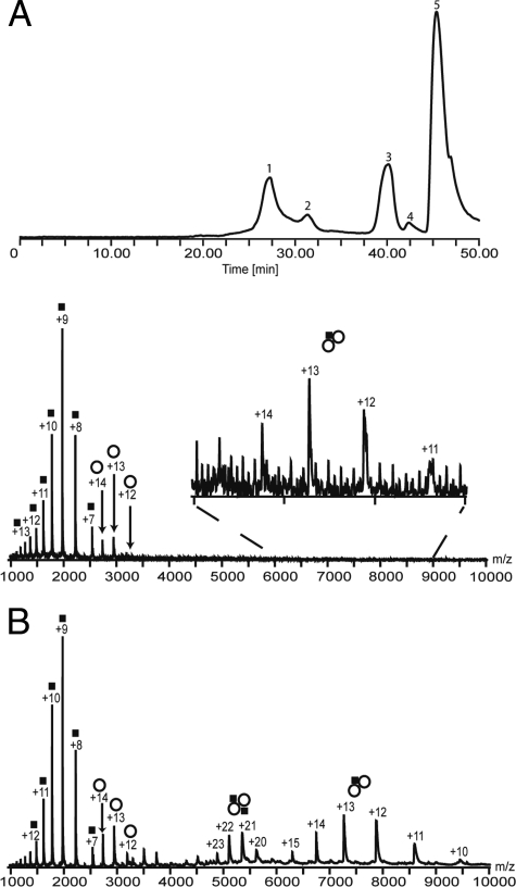 FIG. 5.