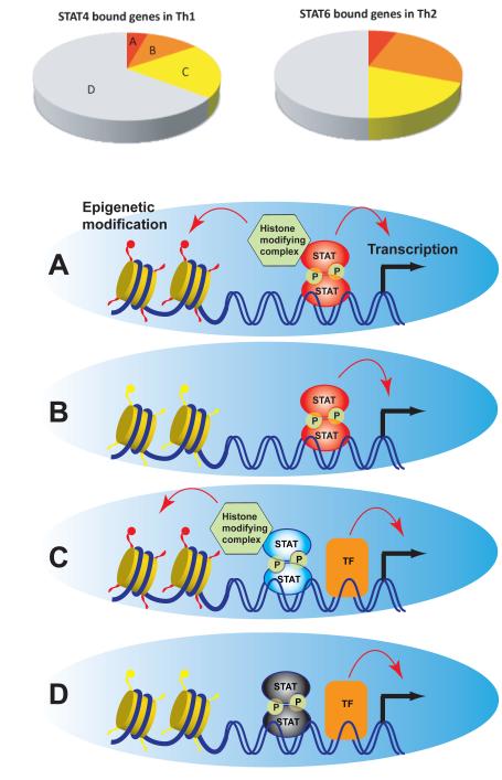 Fig.2