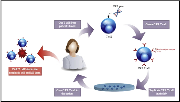 Fig. 2