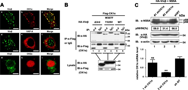 FIG 6