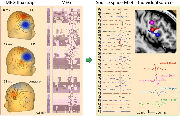 Figure 13