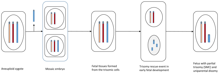 Figure 3